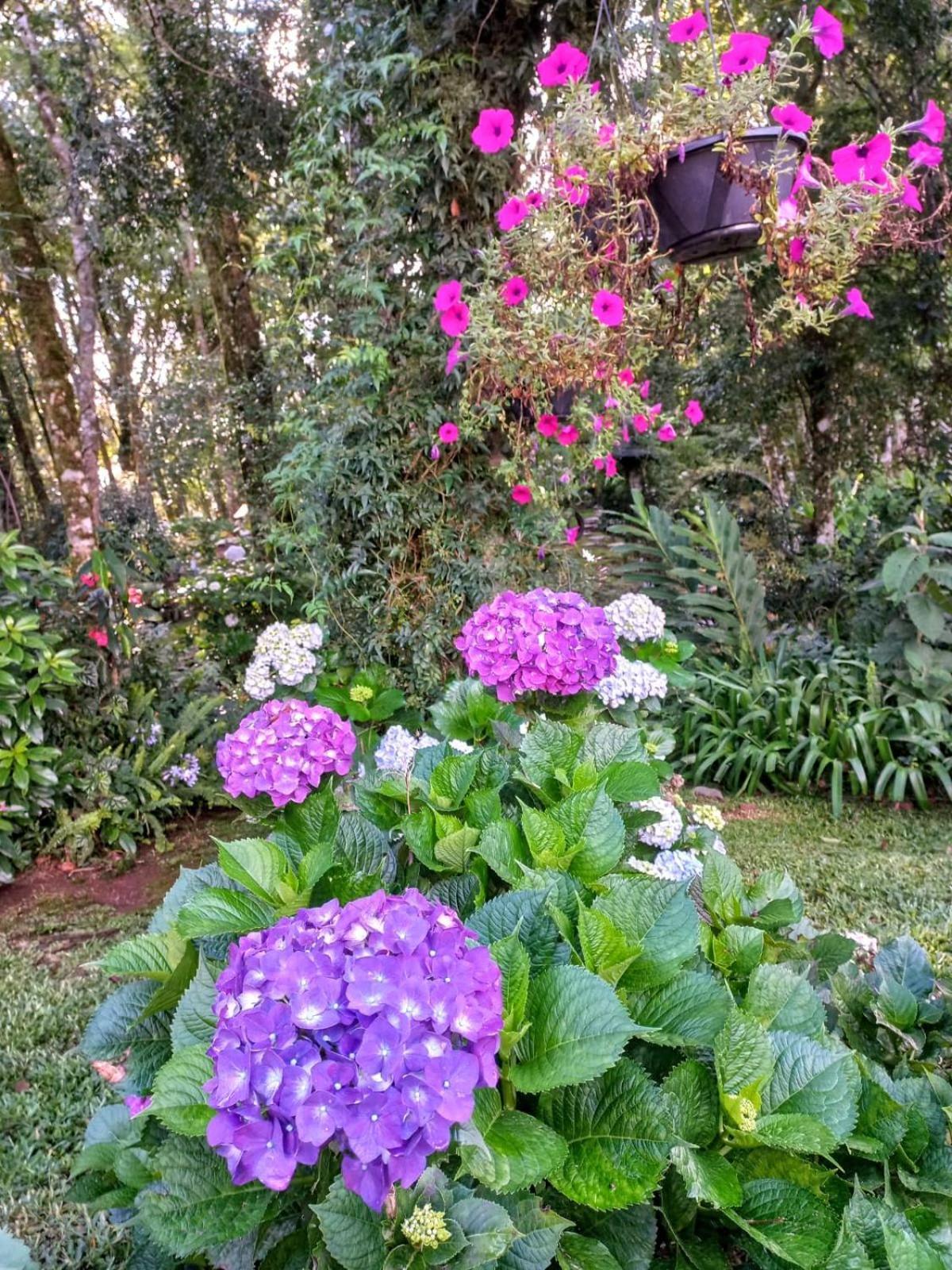 Recanto Dos Jasmins Gramado Exterior foto